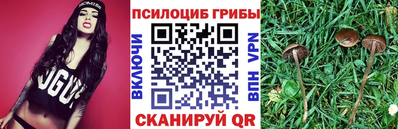 Псилоцибиновые грибы Cubensis  Коркино 